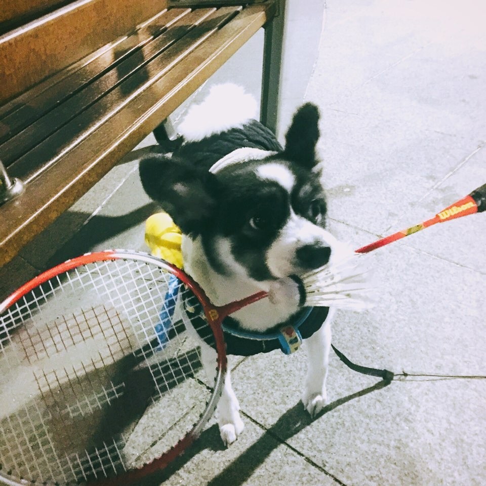 김재연