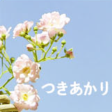 submit_profile