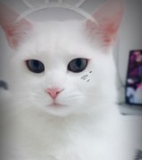 초록별a