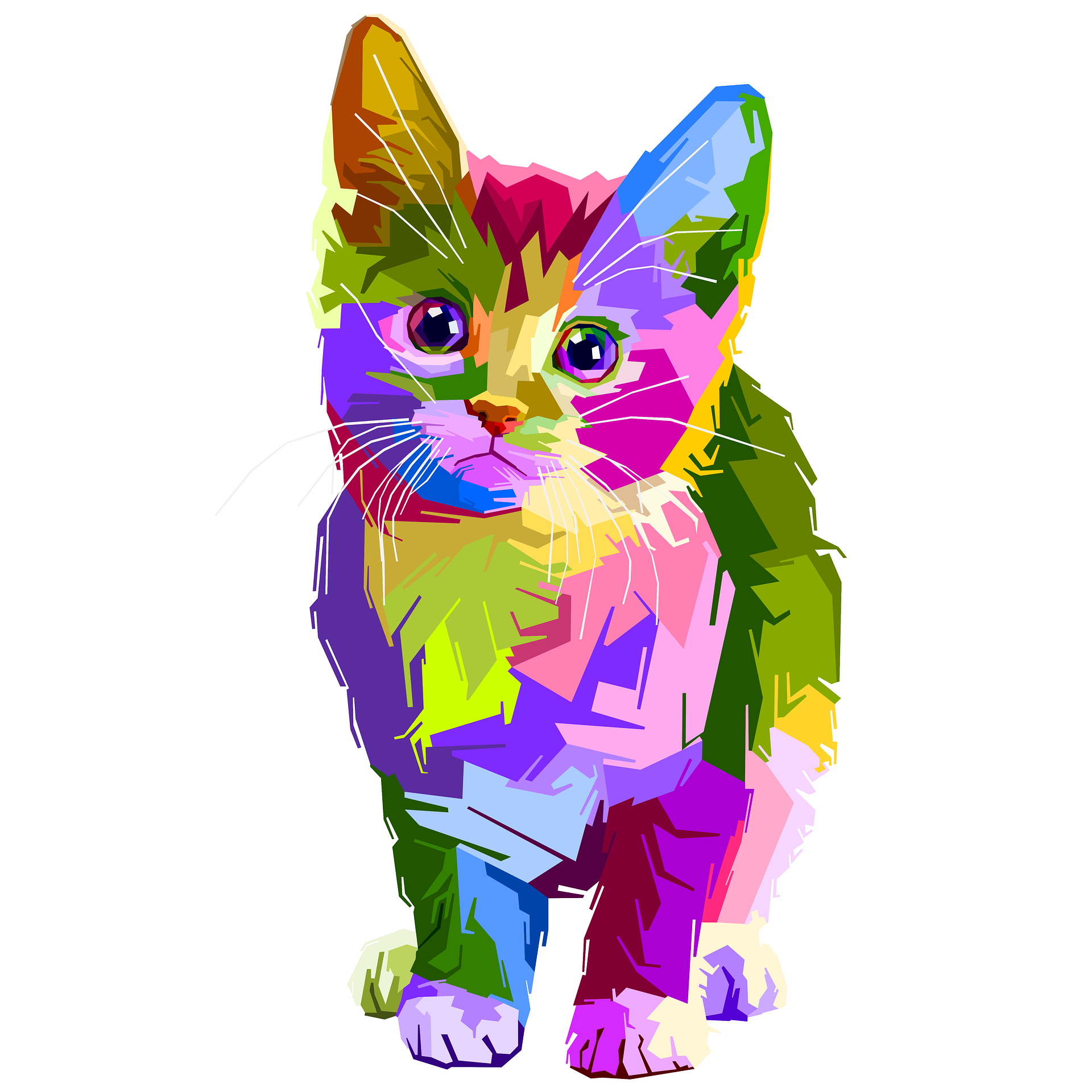 member image