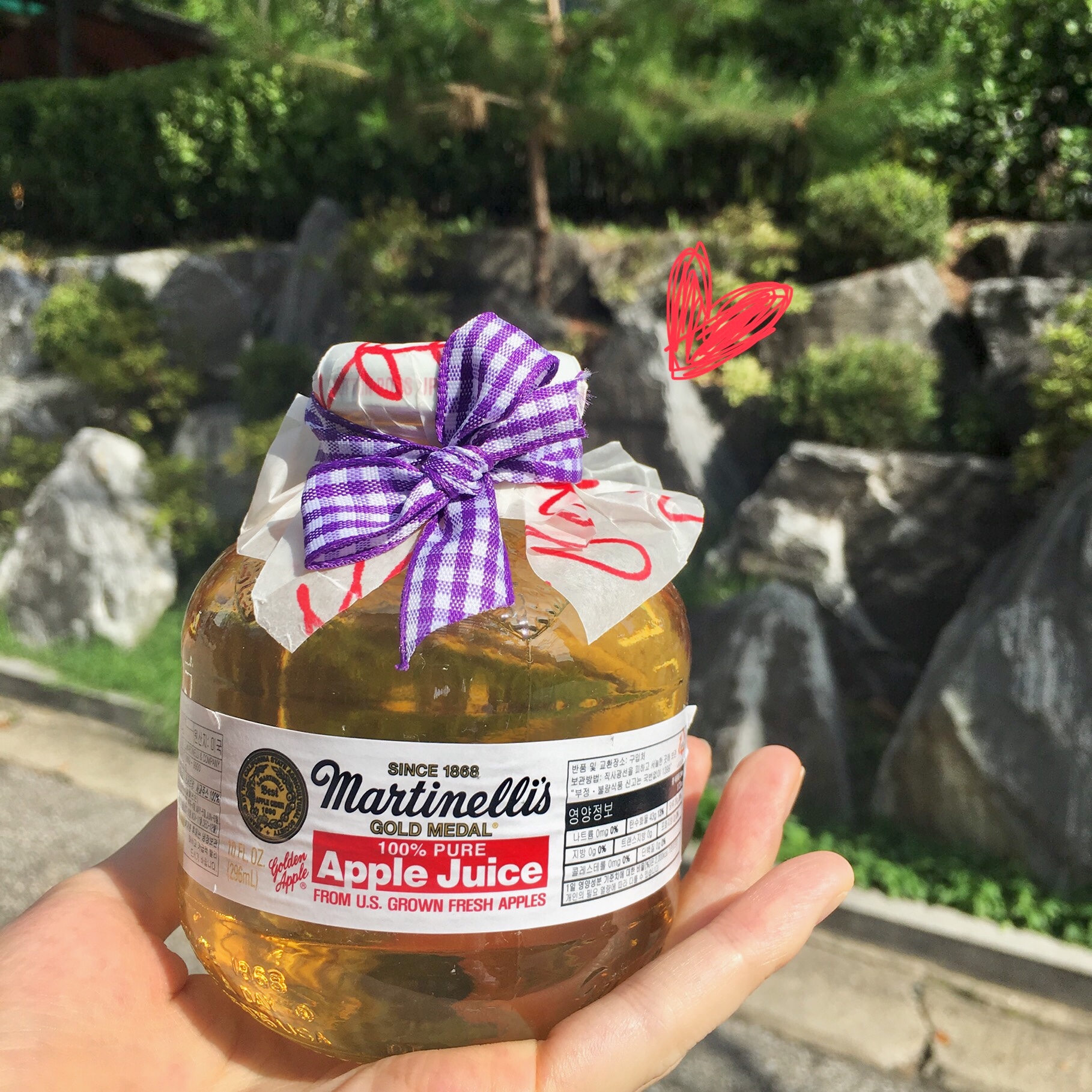 편안한나무늘보150