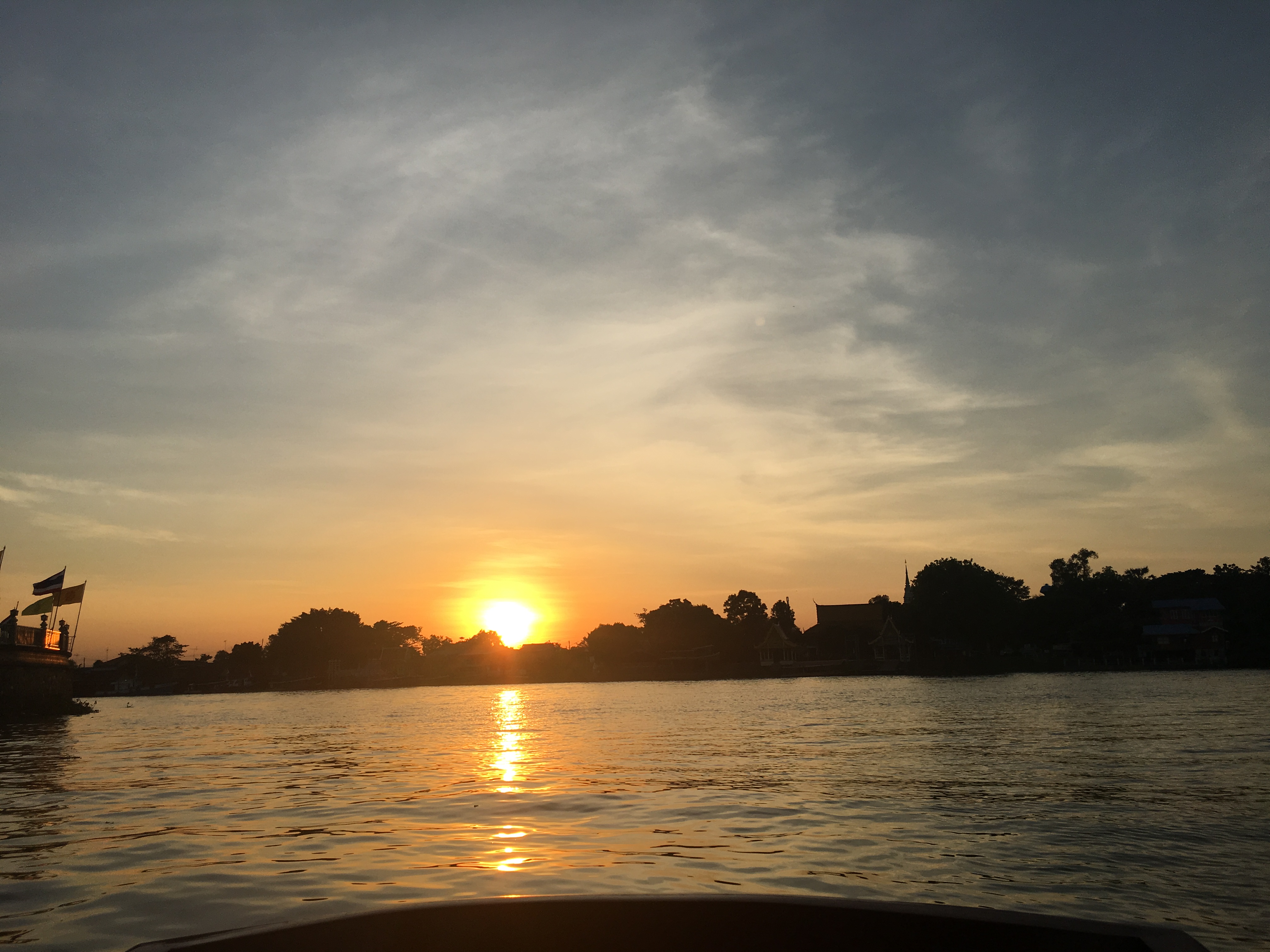 고마운바다사자298