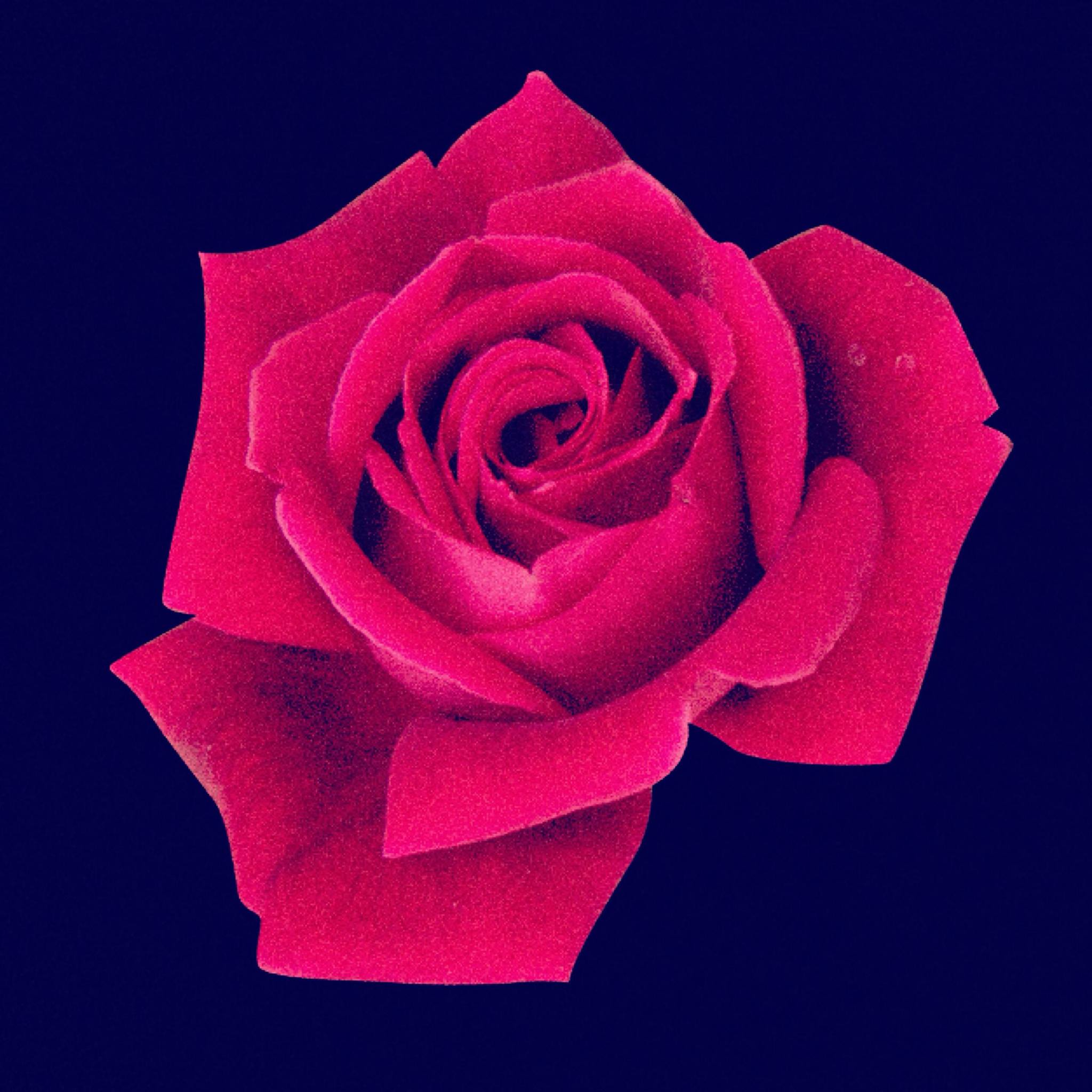 submit_profile