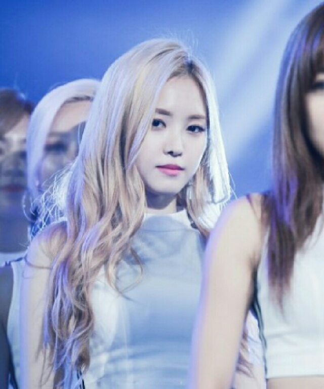 도바킨