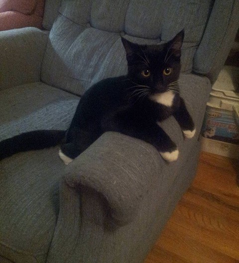 친절한동박새33