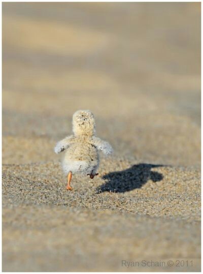 전****님 신청완료