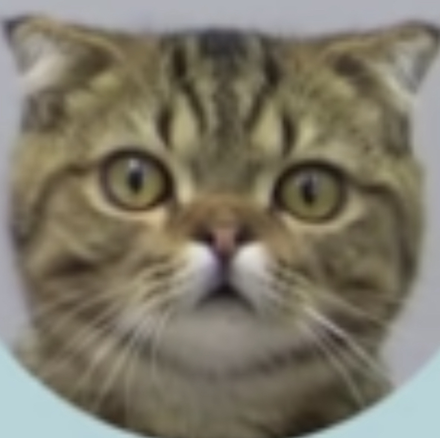 의로운다람쥐269