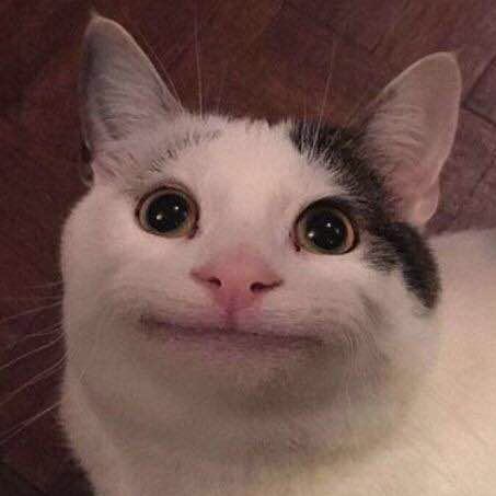submit_profile