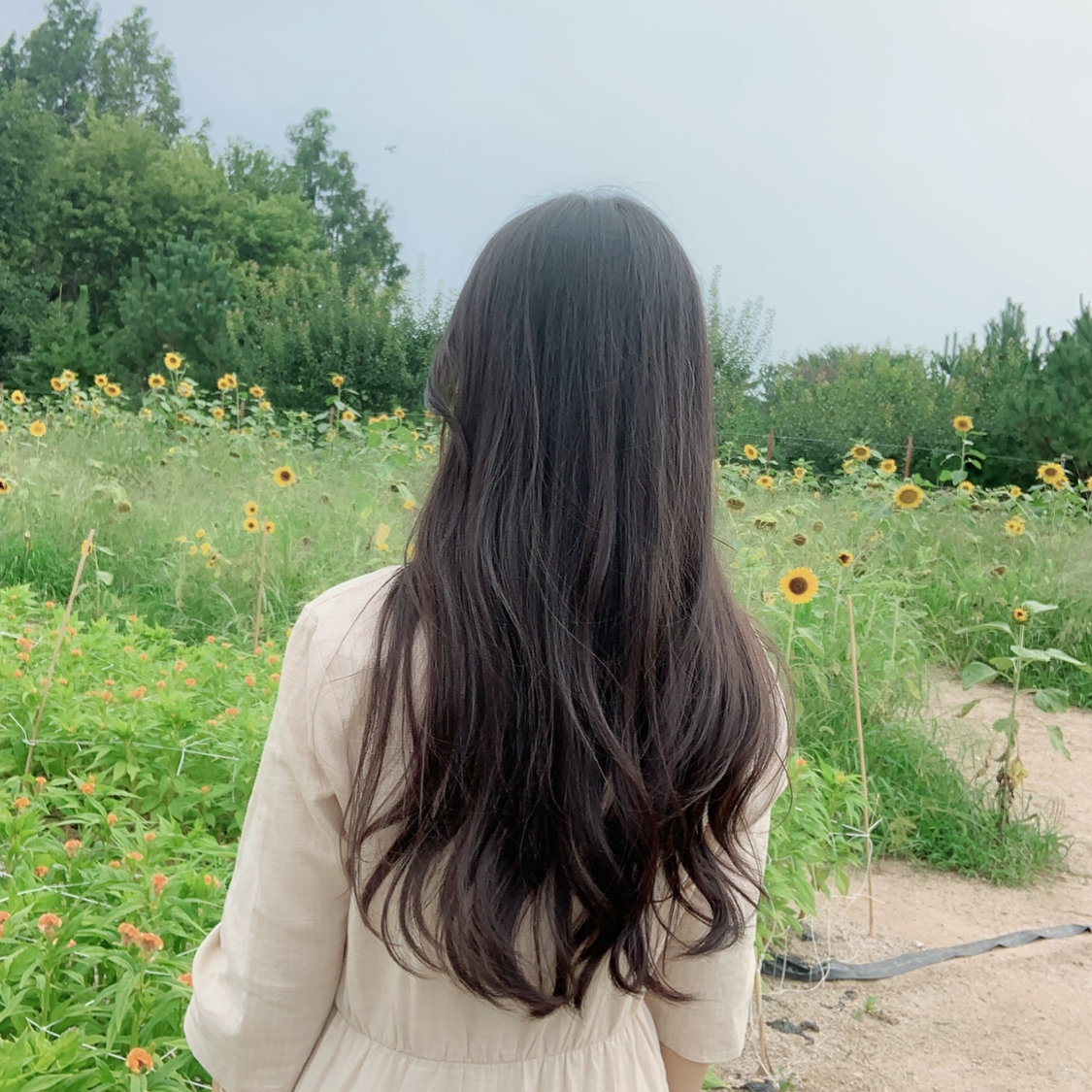submit_profile