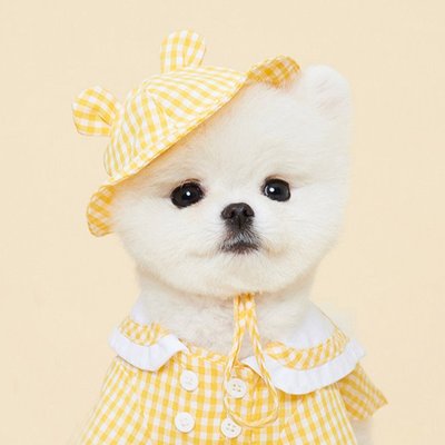 영카트개발준비중