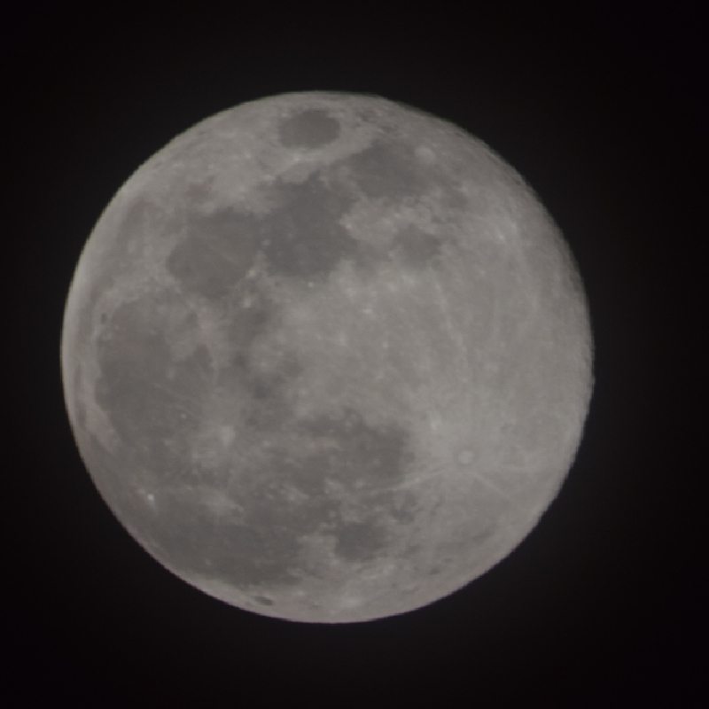 멋쩍은무희새204