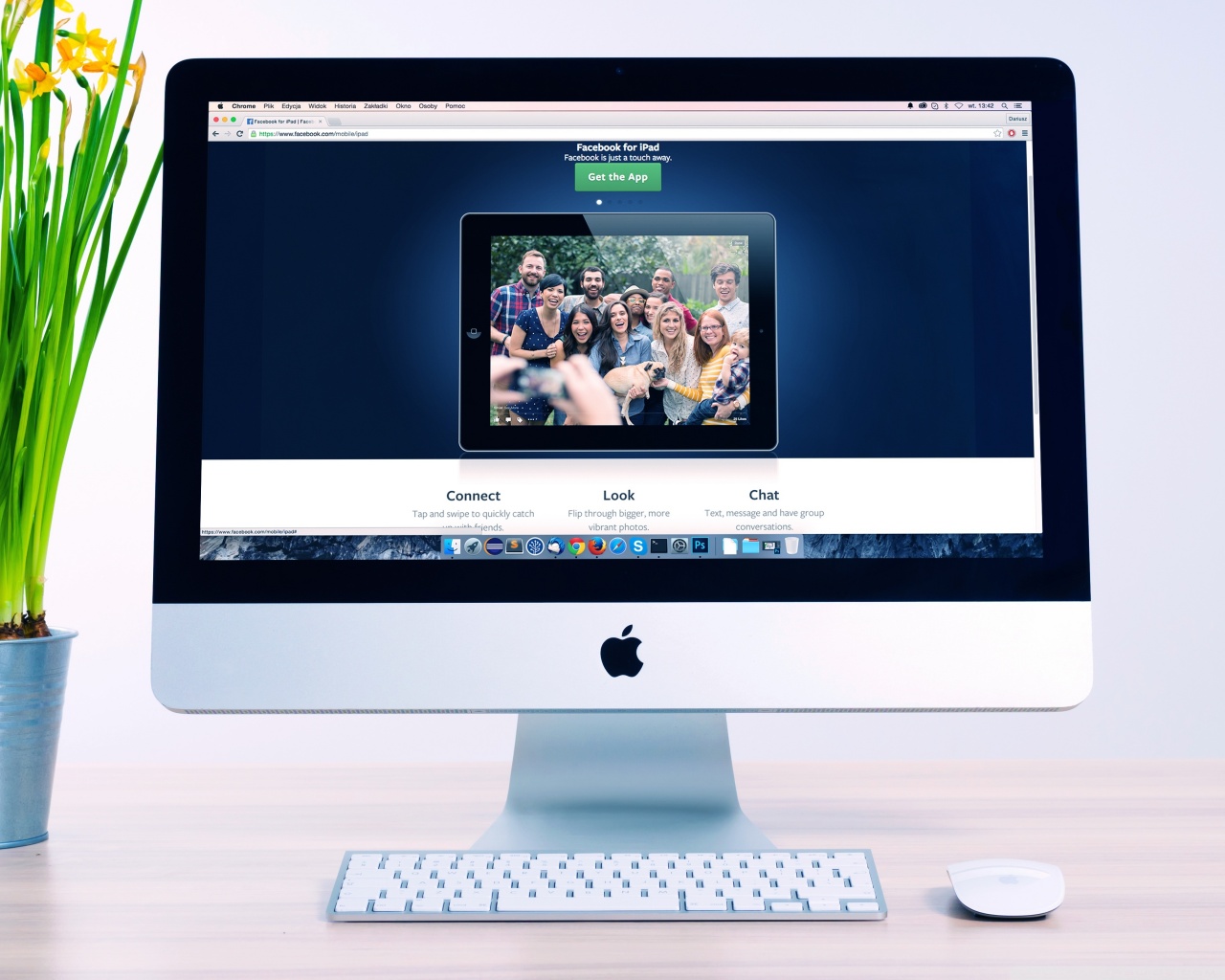 지적인흰죽지137