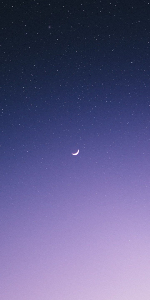 불같은고슴도치148