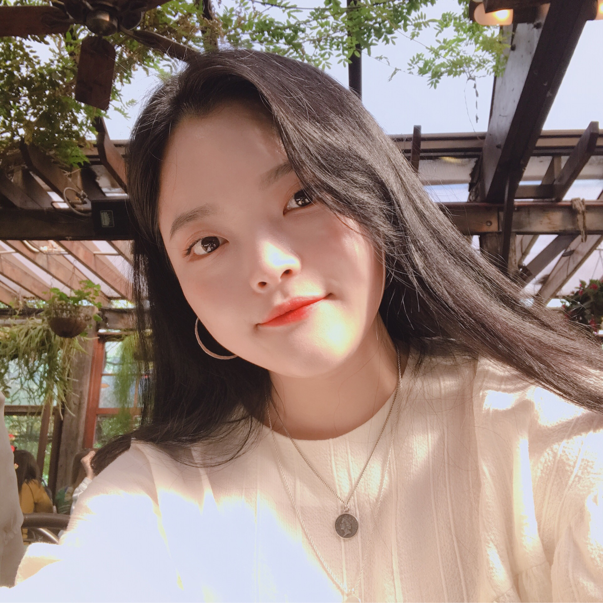 고귀한집게벌레261