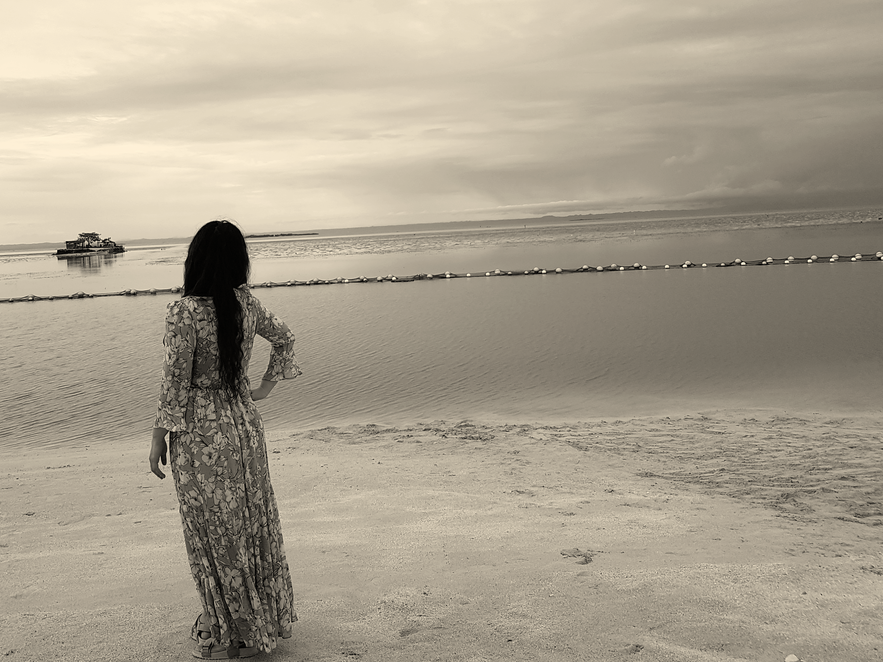 완벽한미어캣22