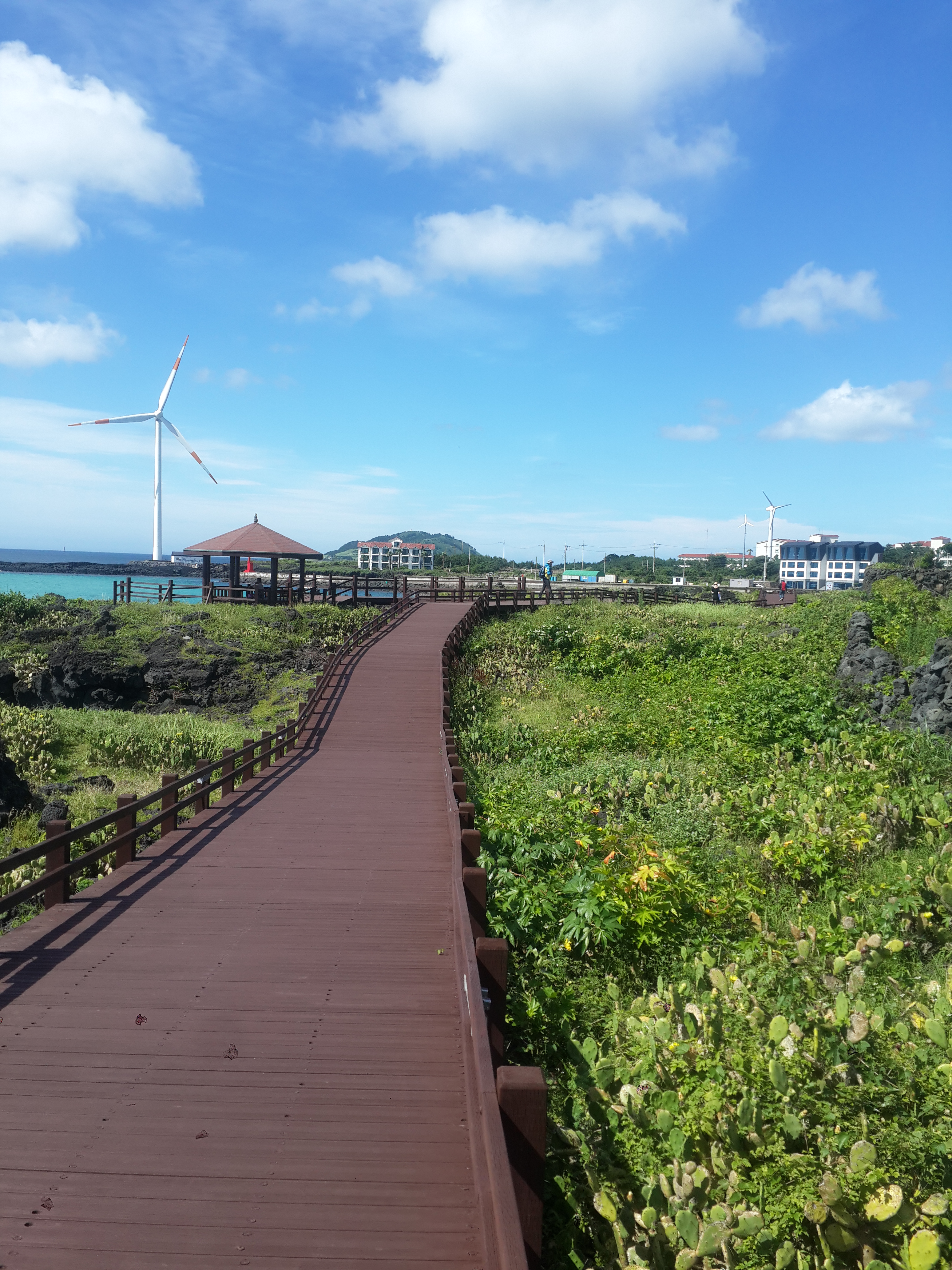 태평한쭈꾸미171