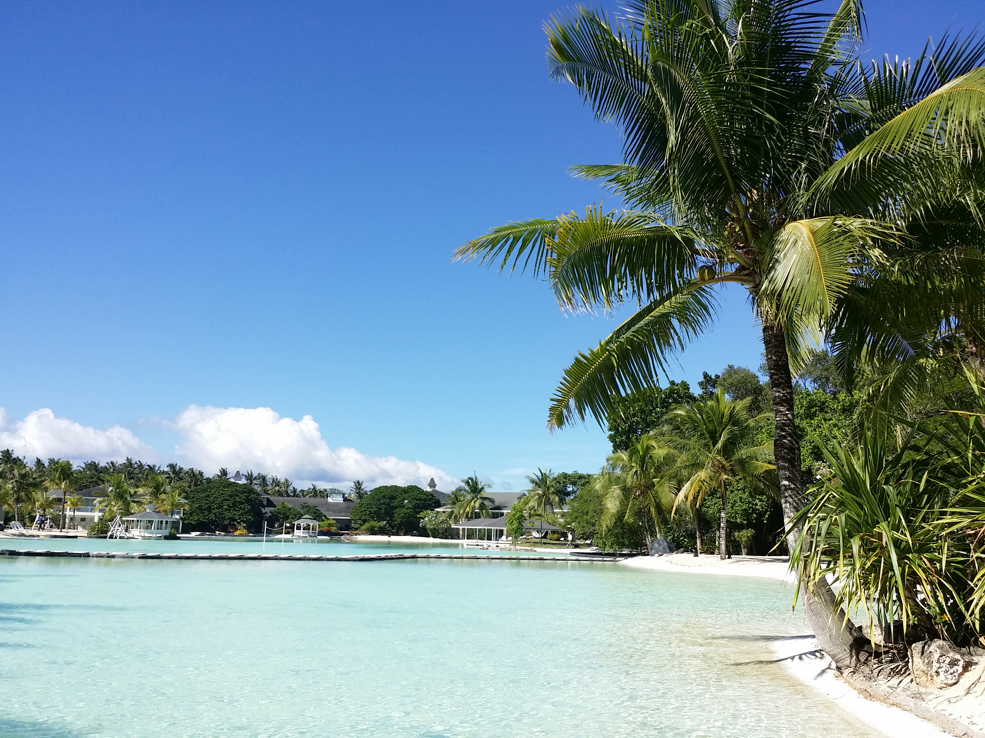 싹싹한다향제비105