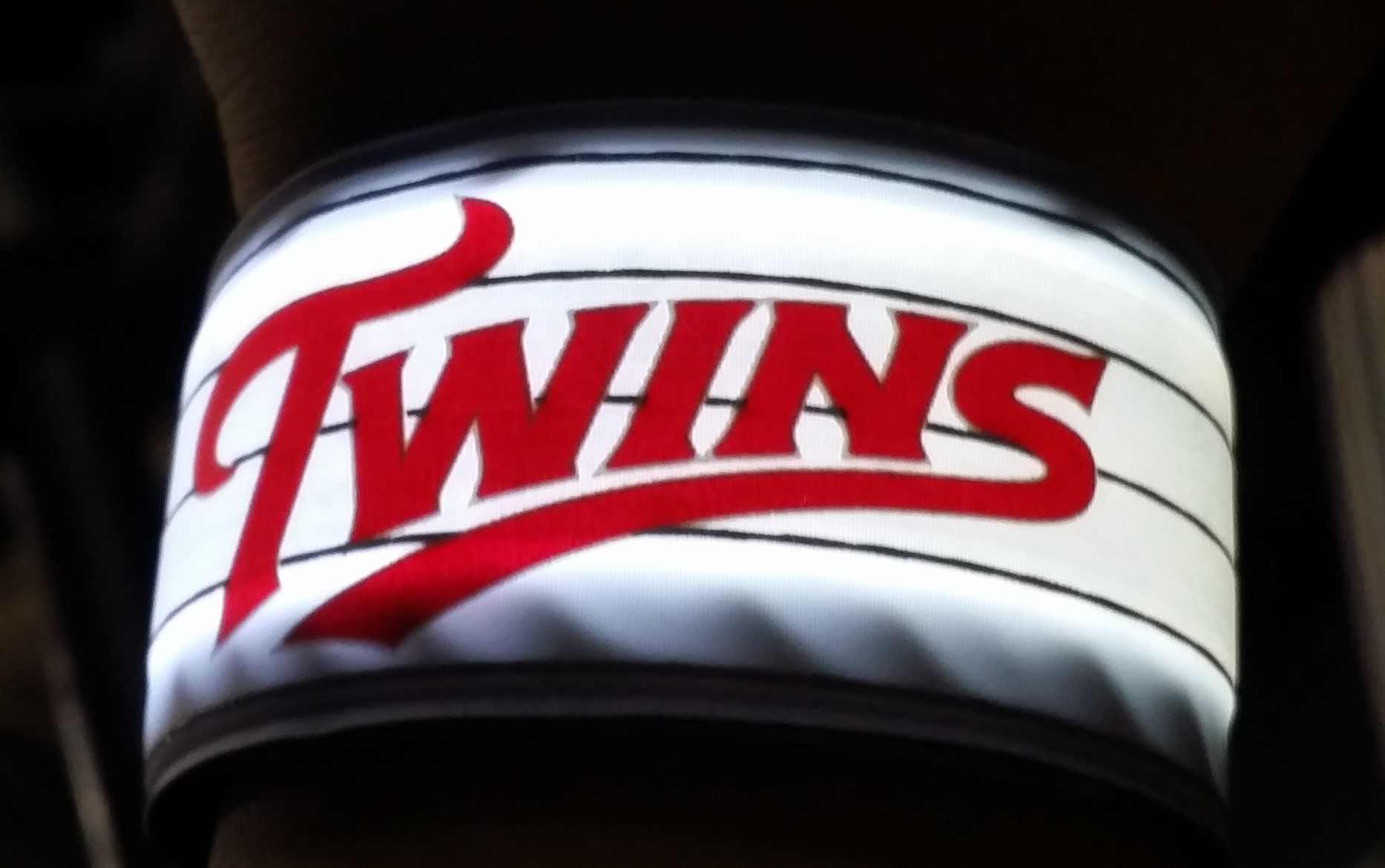 무늬만영화배우