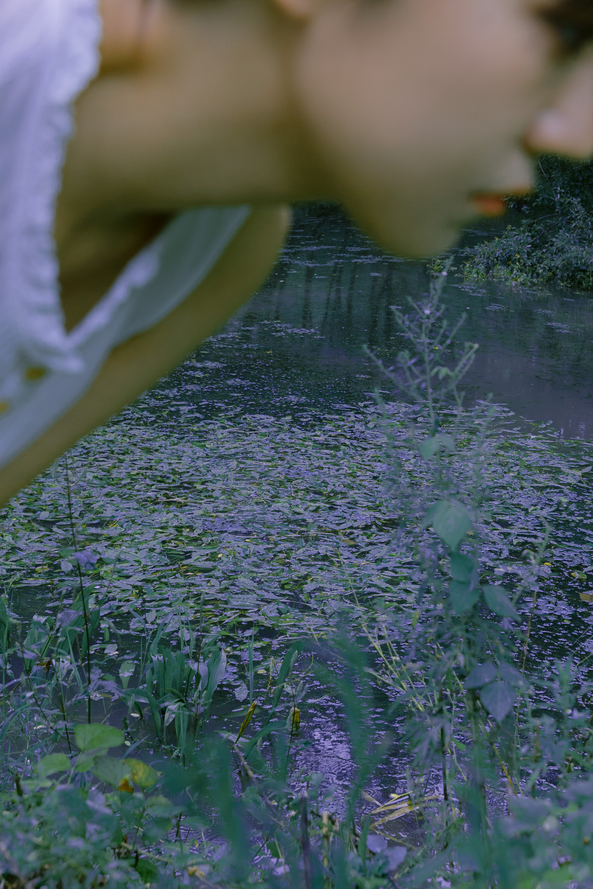 새벽ekf