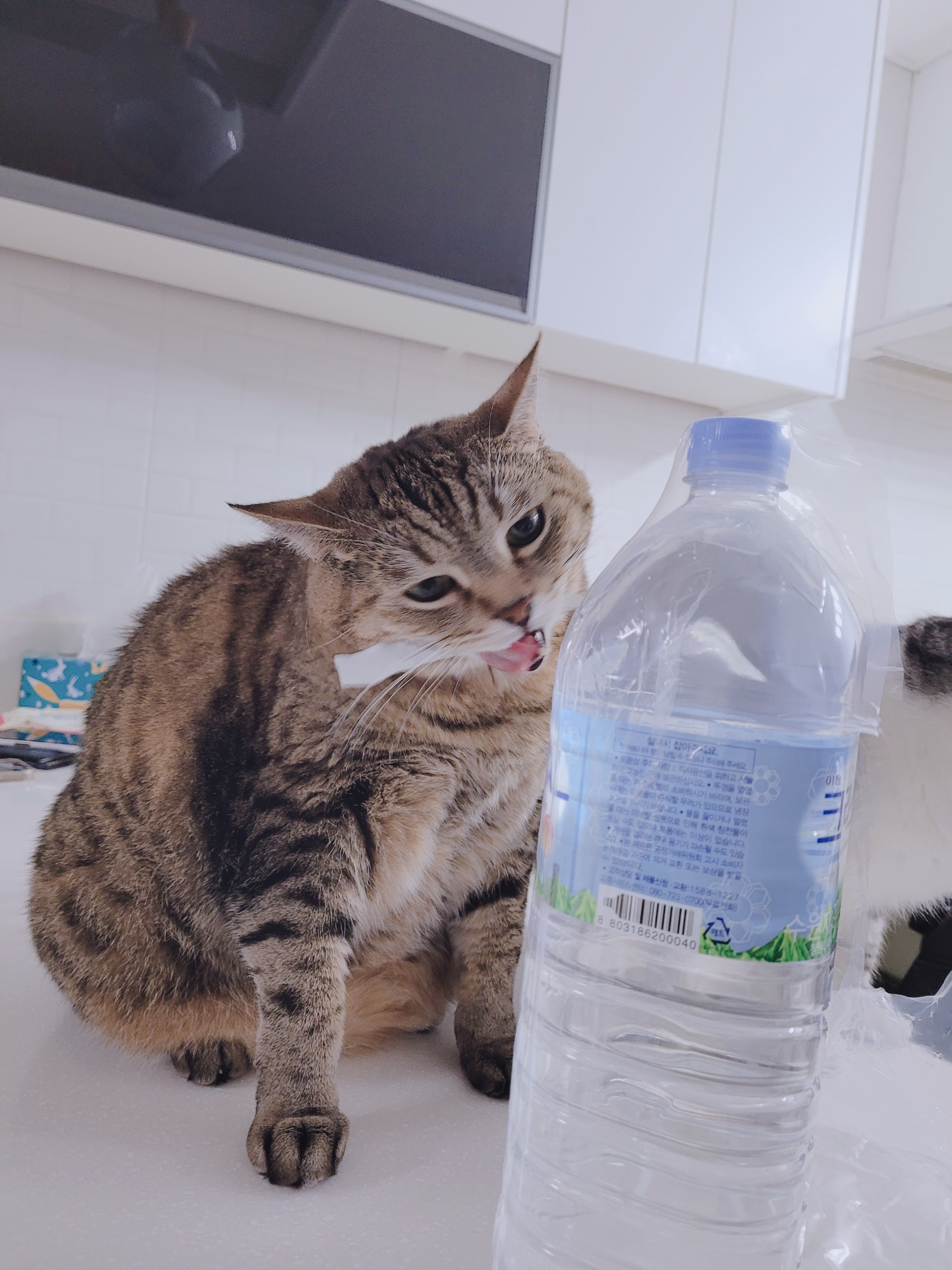 용과