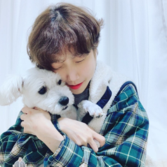 강아지봄 대표이미지