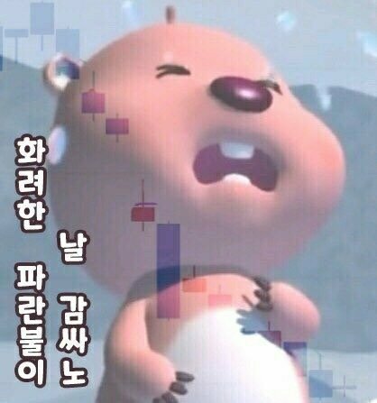 꼬끼오