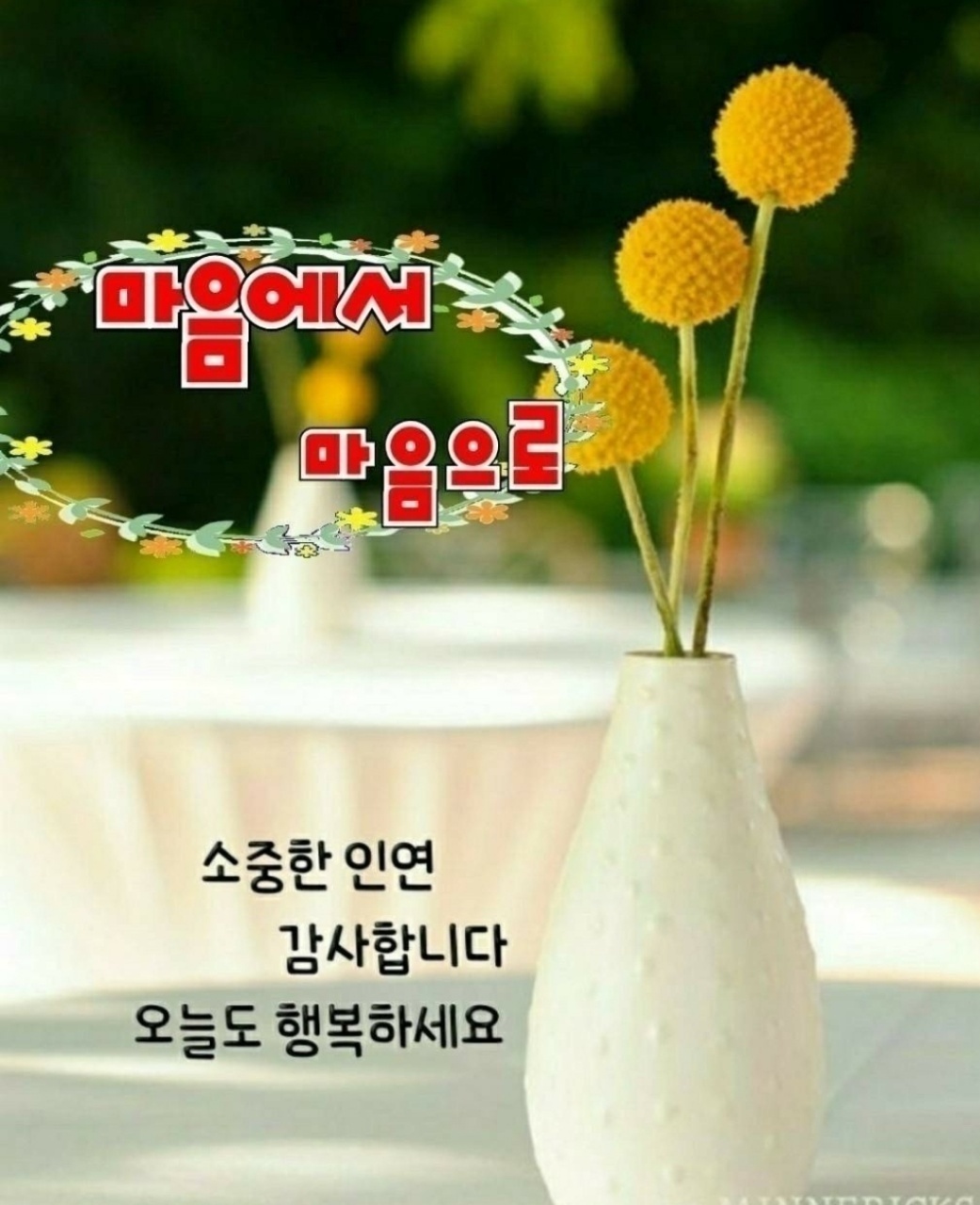 천년의 행복