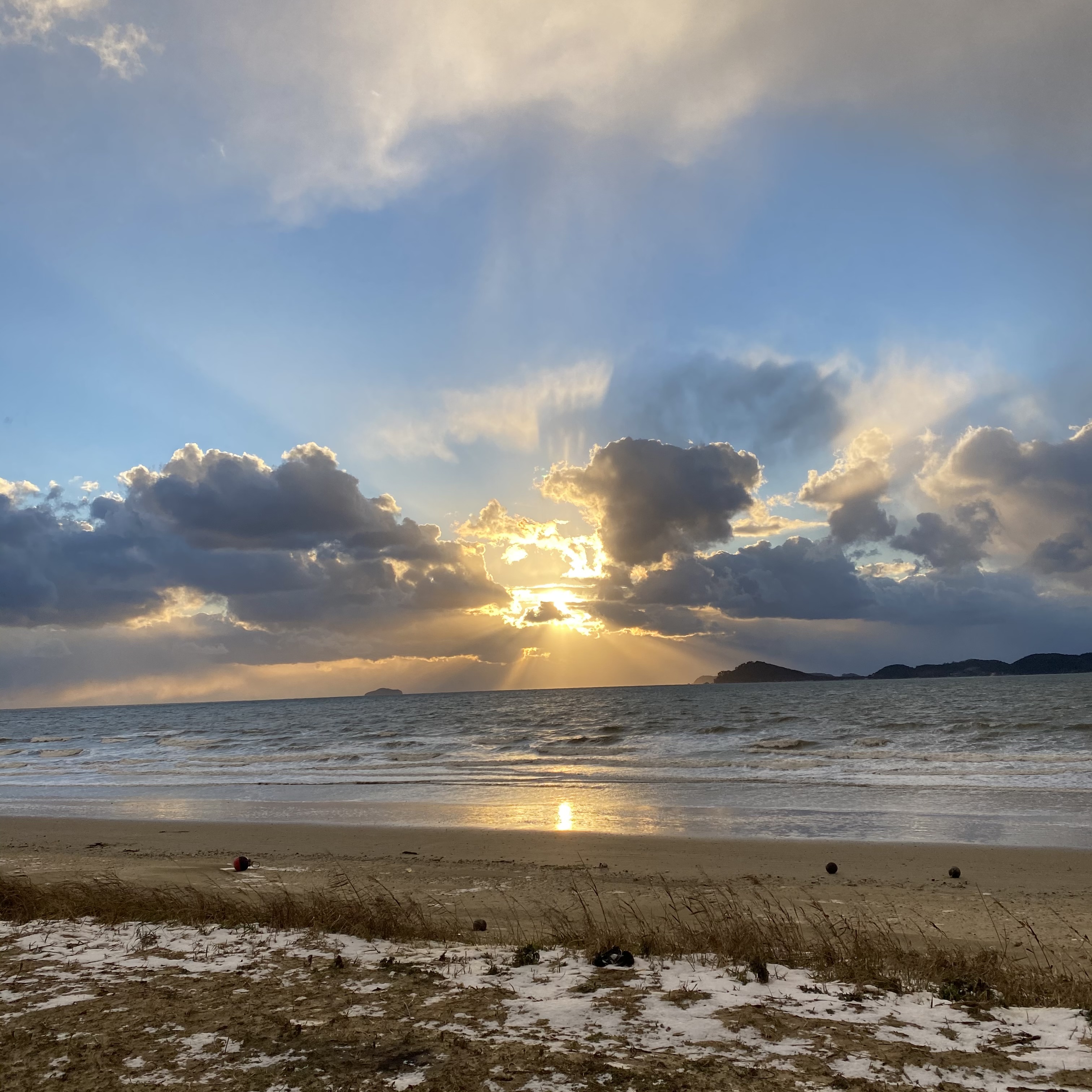 감사합니다람쥐