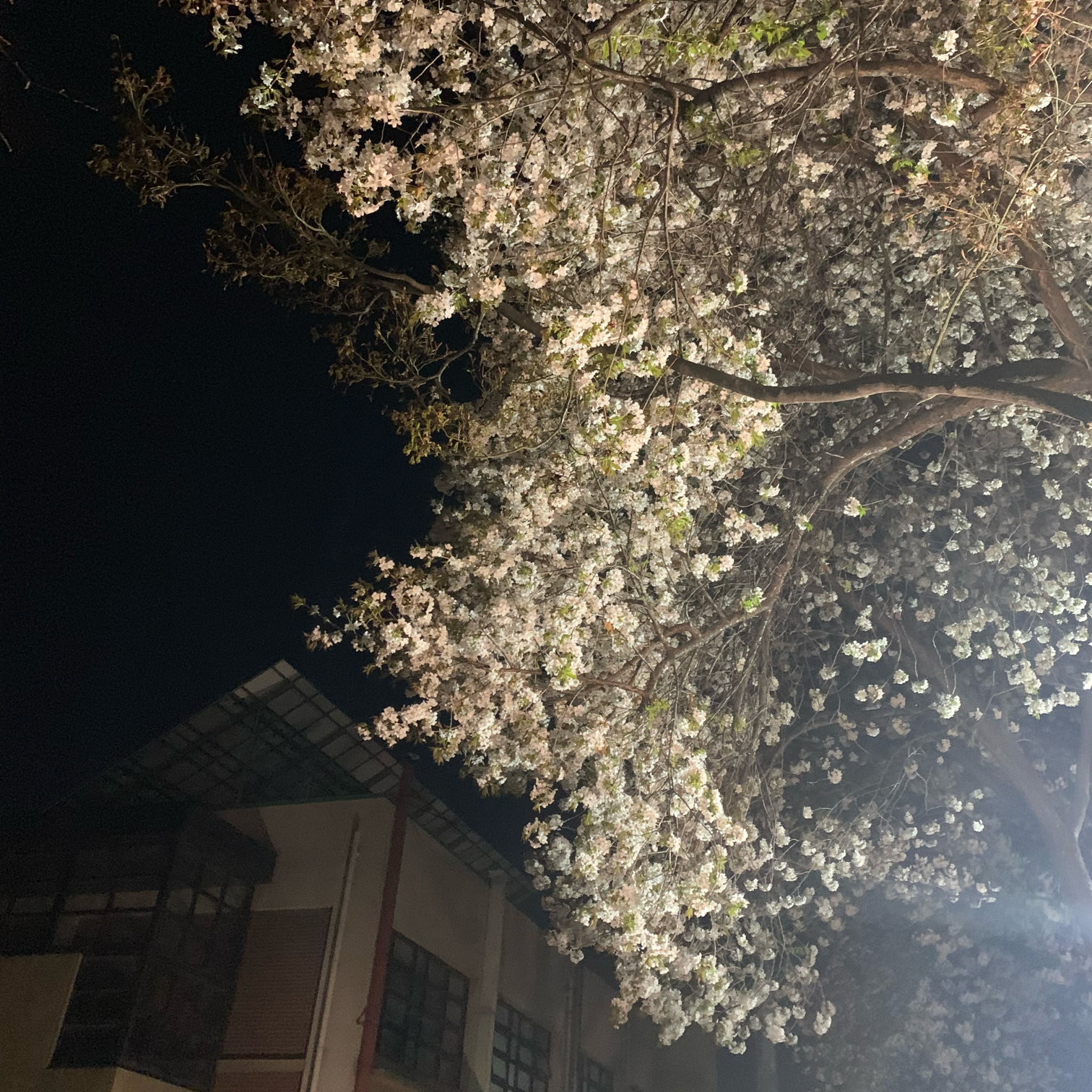 사무행정(일반/장애) 체험형 청년인턴 채용 | 공모전 대외활동-링커리어