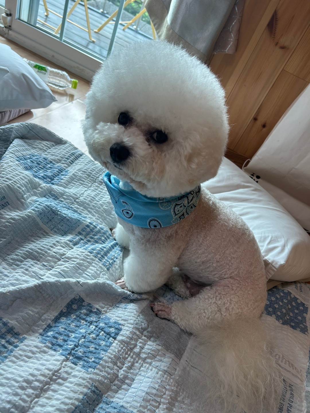 두루도리83482