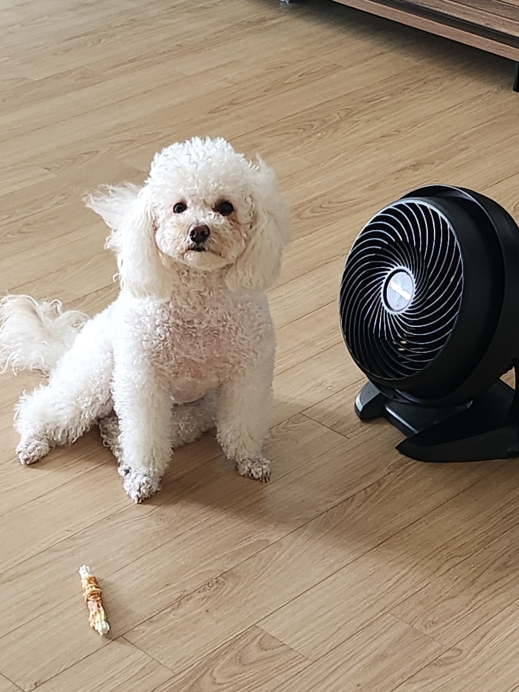 프로필사진