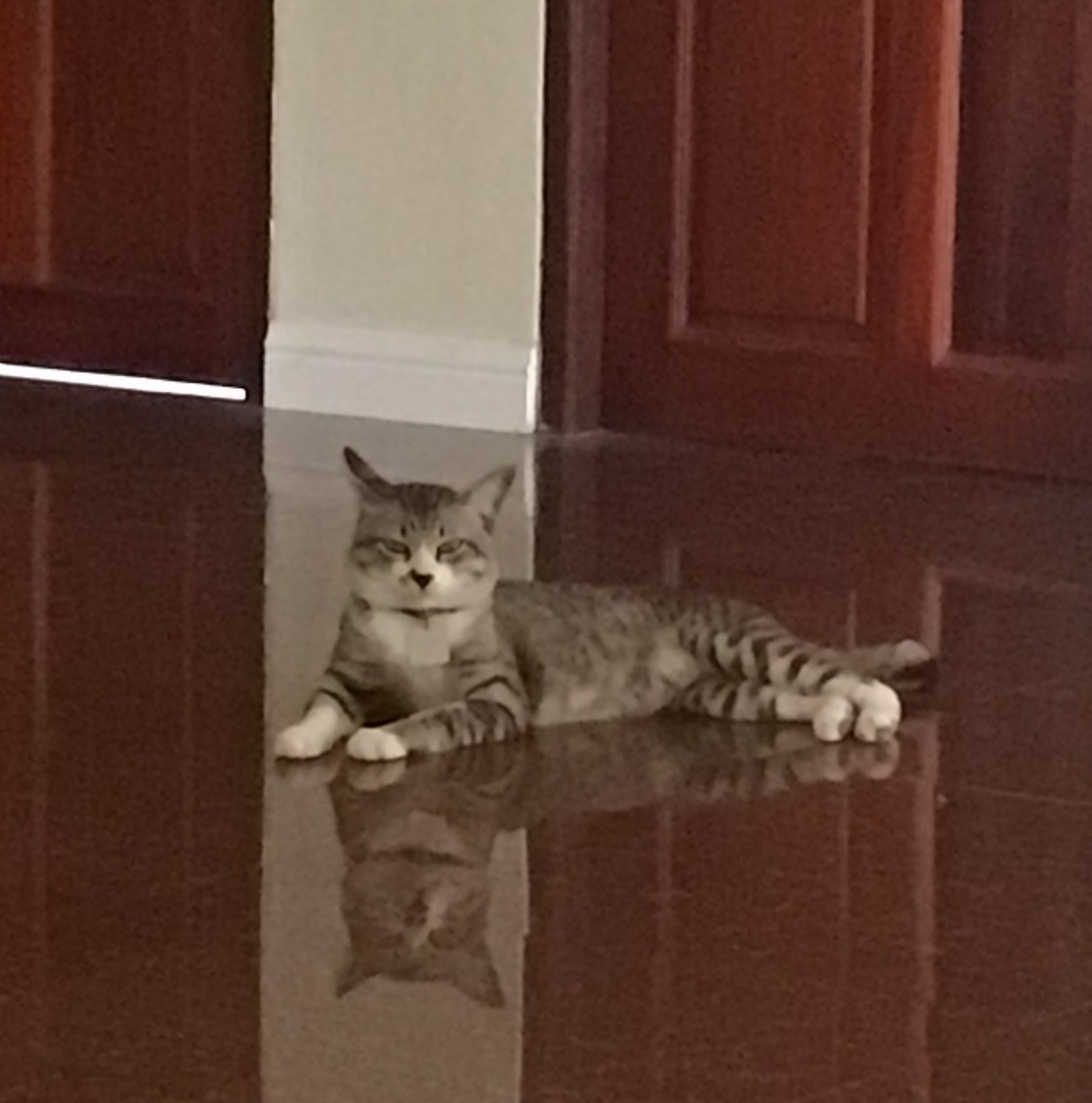 natasha