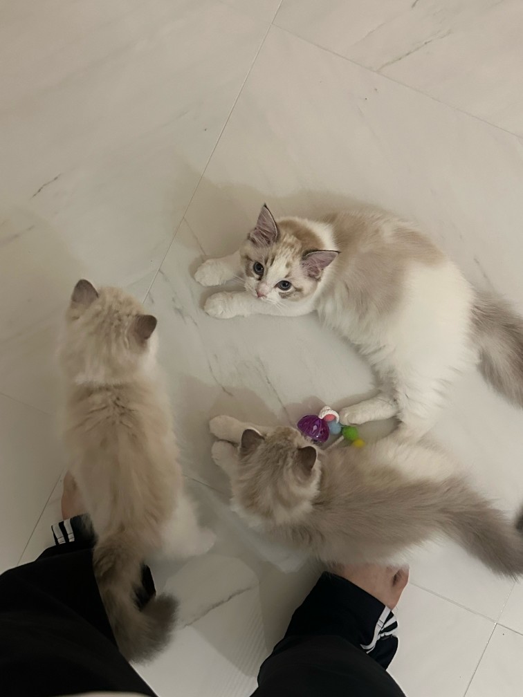 프로필이미지