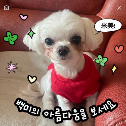 하얀밥경제공부