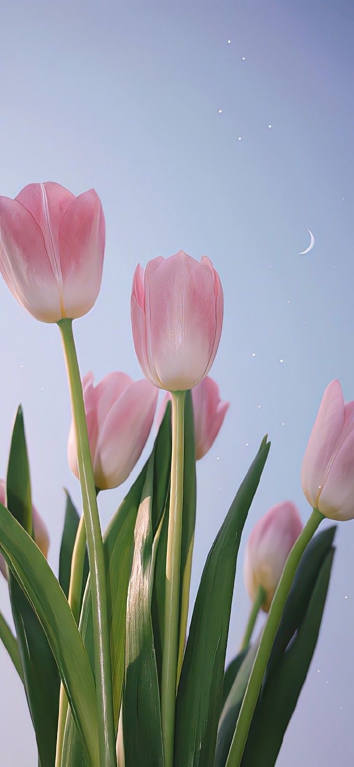프로필이미지