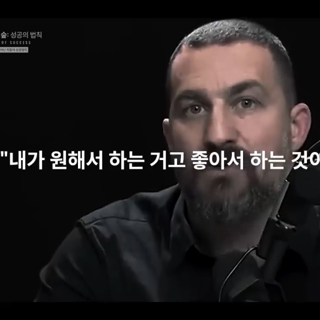 천무등룡