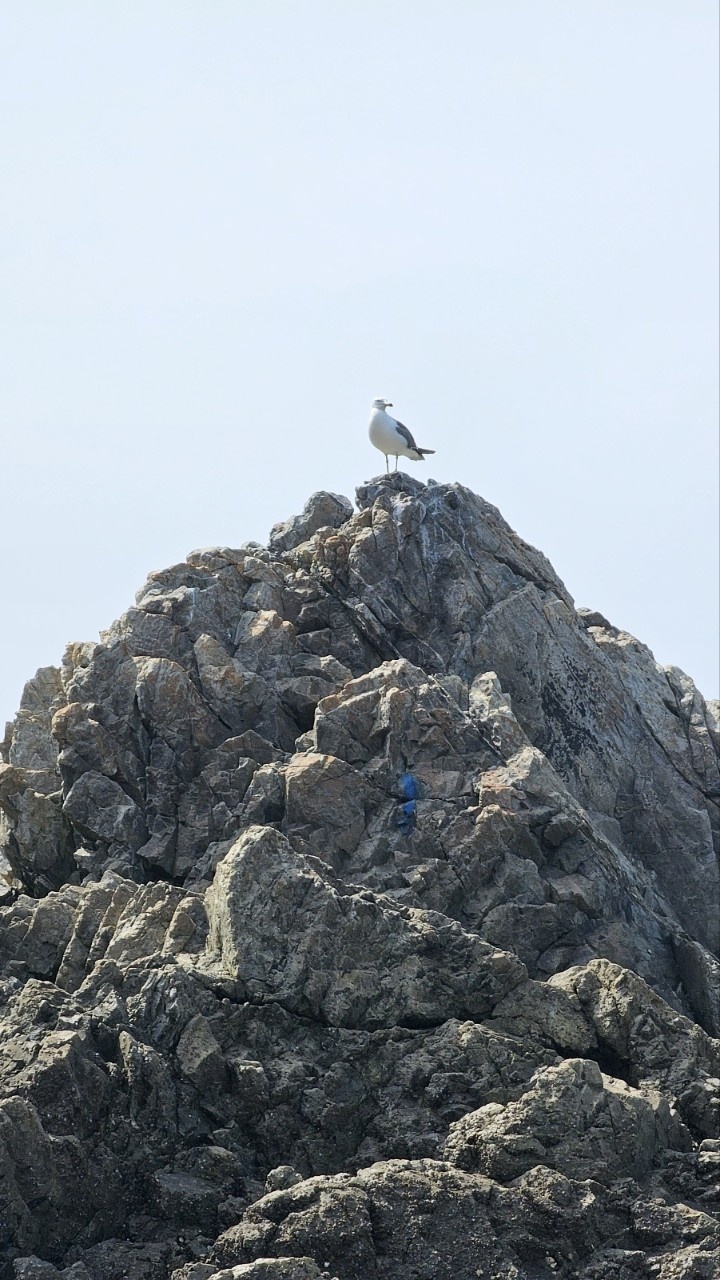 막걸리사랑 프로필