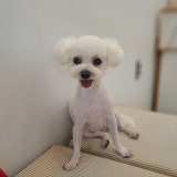 클럽소프트