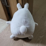 정태용