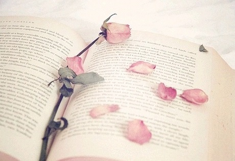 사려깊은집게벌레254