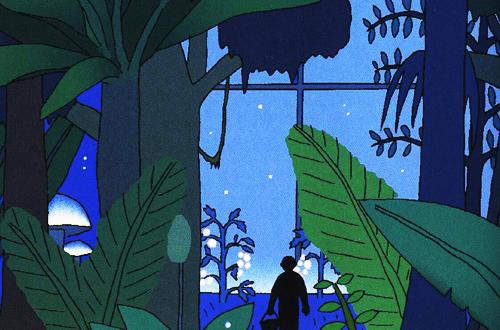 임범진 (세하,seha)