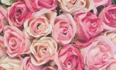 매끈한애벌래188