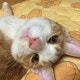 profile-image