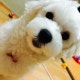 profile-image