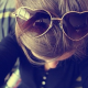 profile-image
