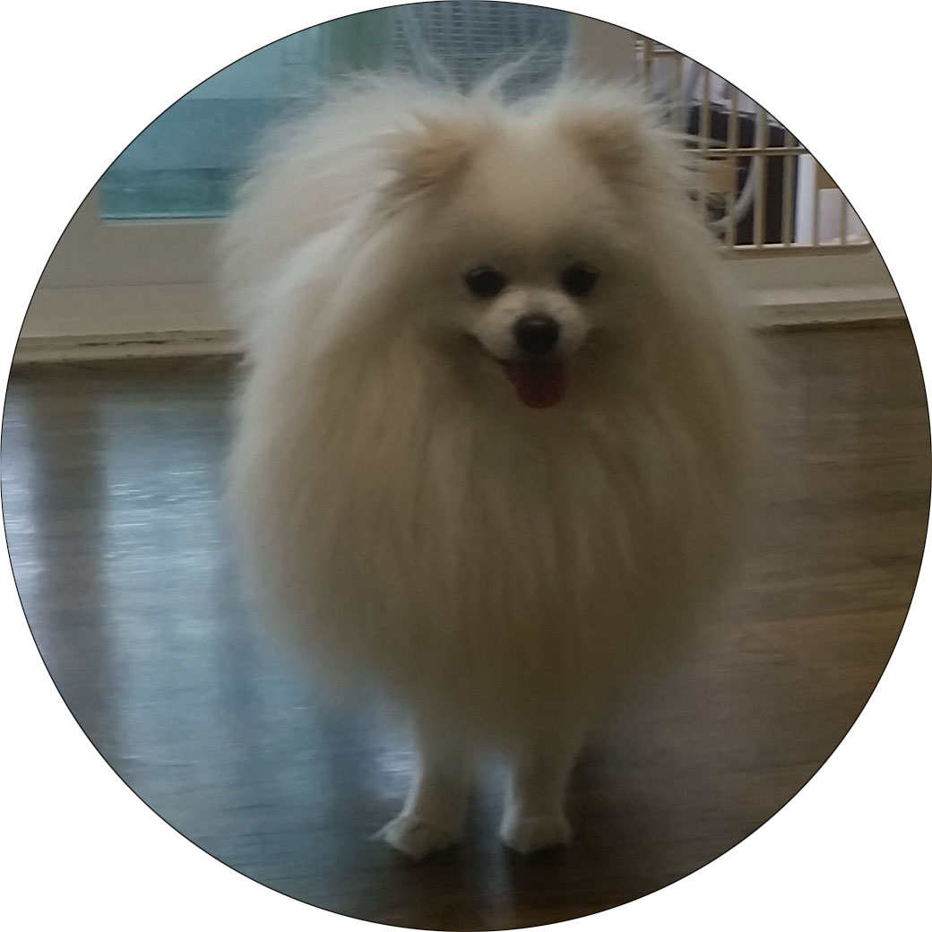 profile-image
