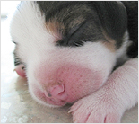 profile-image
