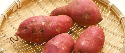 �ڻ�������