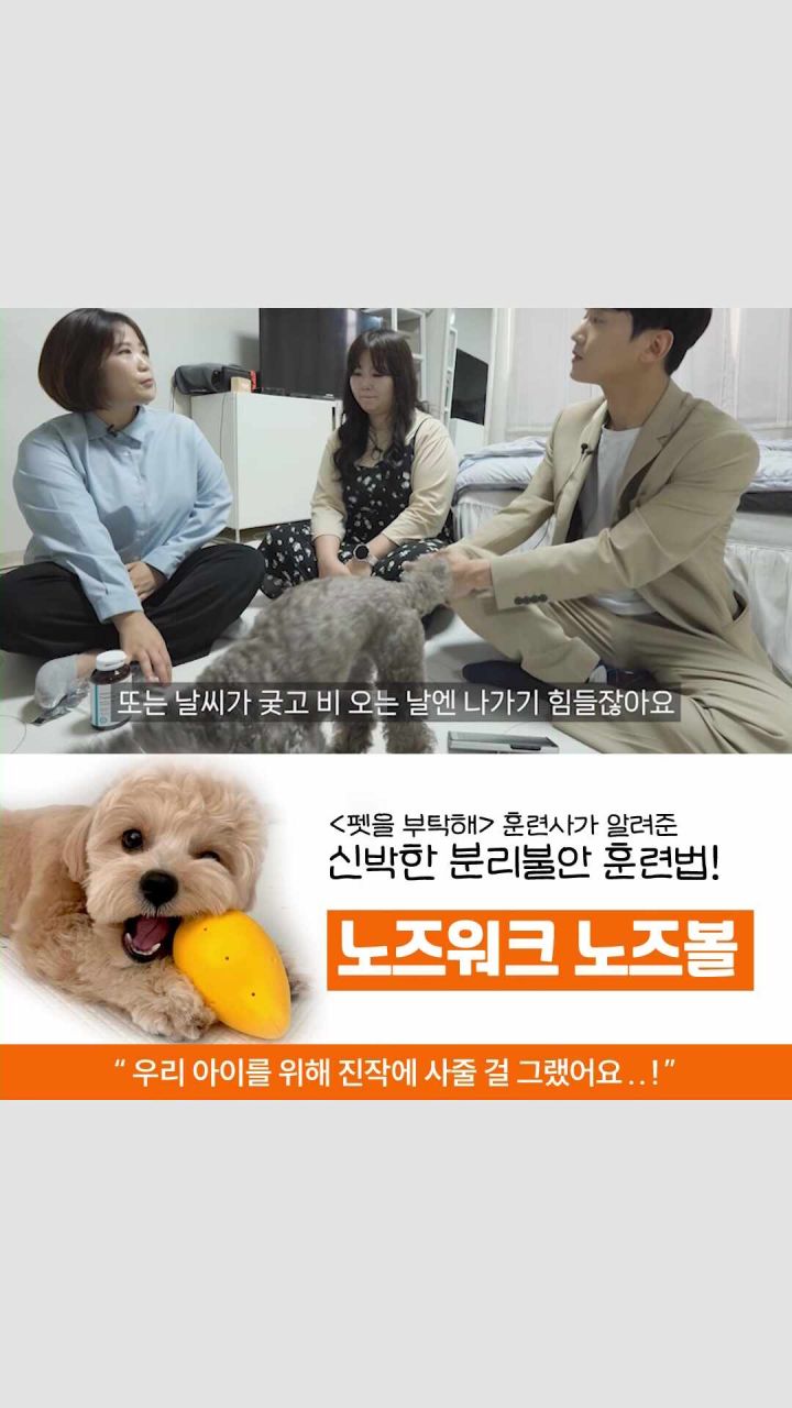 노즈워크 아로마 노즈볼