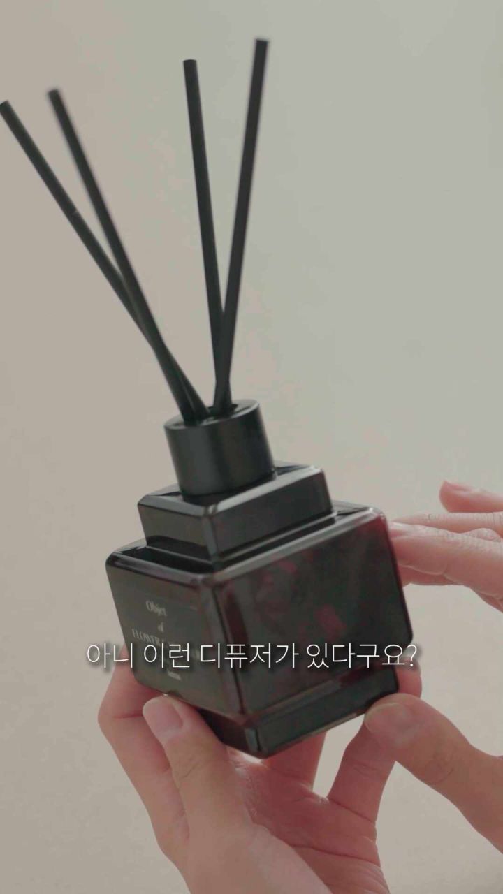 헤트라스 오브제 디퓨저